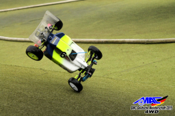 2015 DM 4WD Buggy 4WD Juni